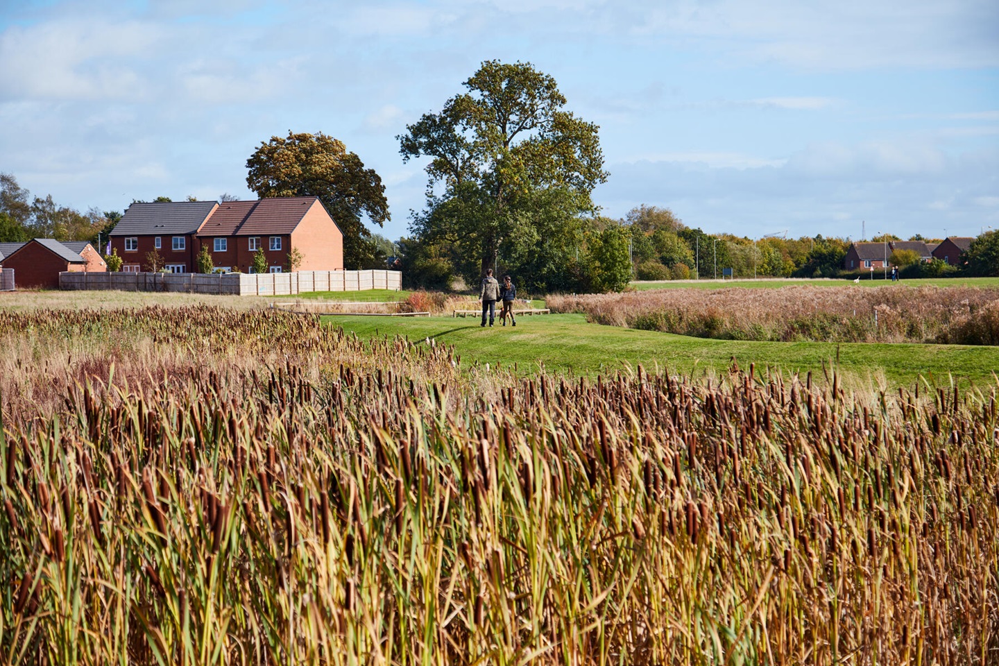 Field