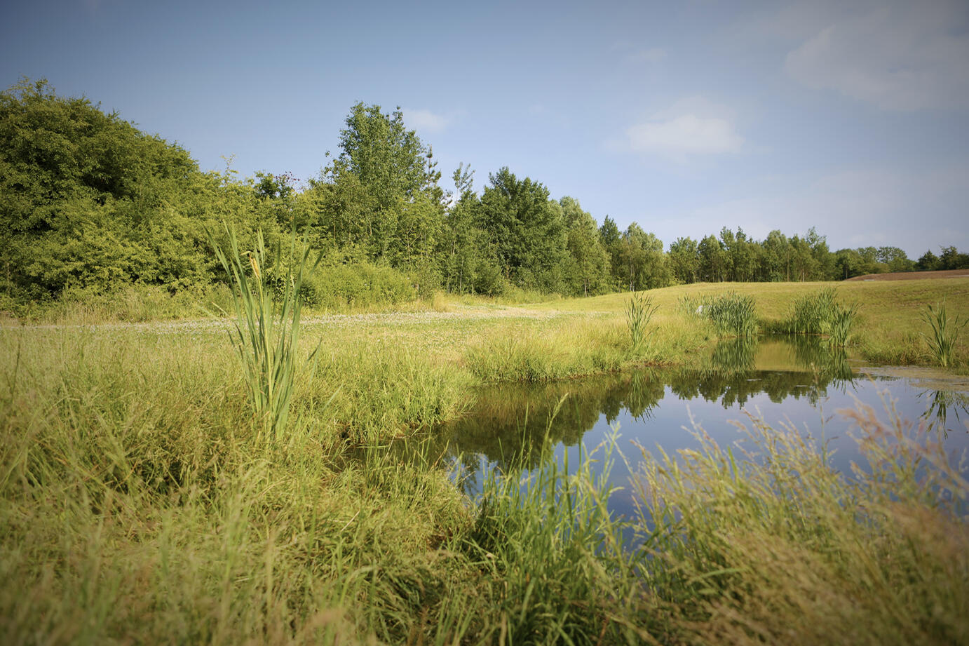 Balancing pond